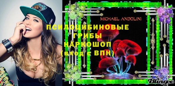 эйфоретик Аркадак