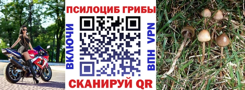 Галлюциногенные грибы MAGIC MUSHROOMS Миллерово